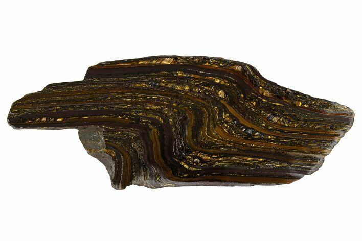 Polished Tiger Iron Stromatolite Section - Billion Years #314326